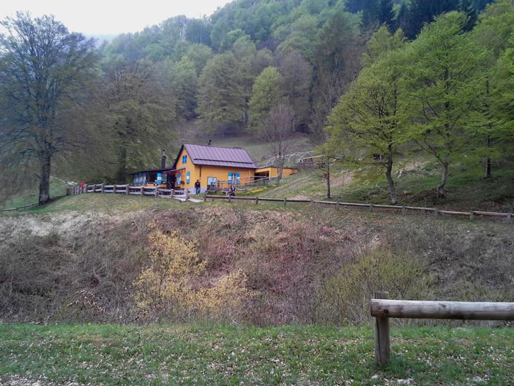 2015-04-26 10.57.38.jpg